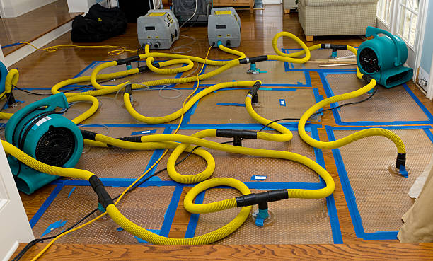 Professional Structural Drying And Dehumidification technician working in Des Plaines, IL